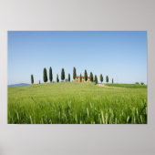 Koeshuis in Toscane met poster van cyperen (Voorkant)