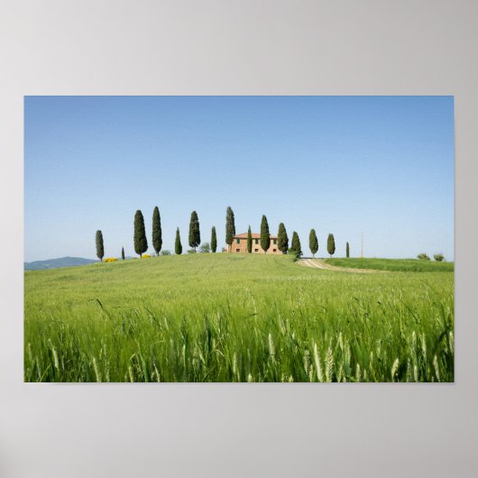 Koeshuis in Toscane met poster van cyperen (Voorkant)