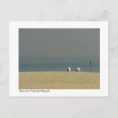 Koeweit, mensen op het strand van Fahaheel Briefkaart (Voorkant)