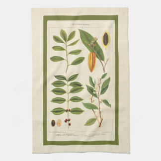 Koffie Antiek Thee Botanische Drank Planten Grafie Theedoek