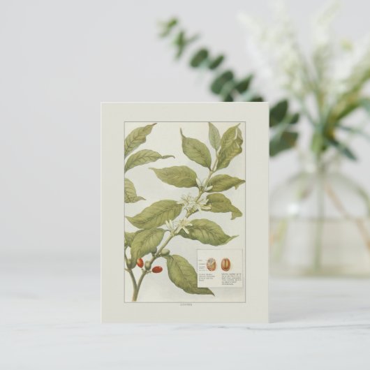 Koffie Briefkaart (Staand voorkant)