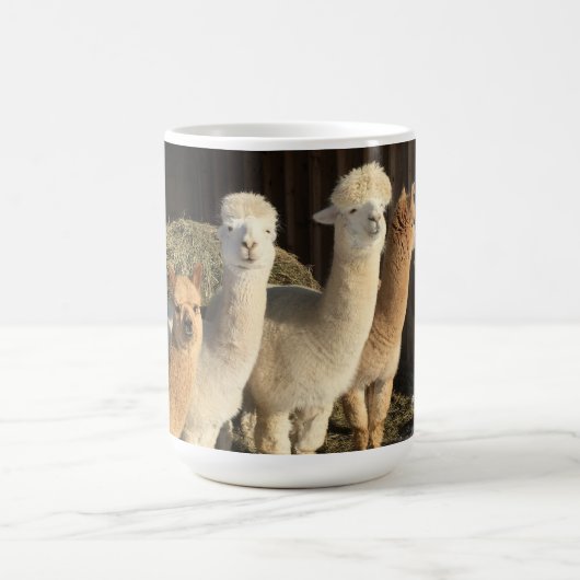 Koffie Mok - Alpaca's in de winterzon (Center)