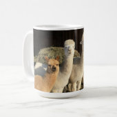 Koffie Mok - Alpaca's in de winterzon (Voorkant links)
