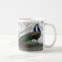 KOFFIE MOK MET PEACOCK AFBEELDING