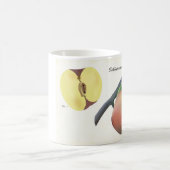 Koffie Mok met wetenschappelijke illustratie (Center)