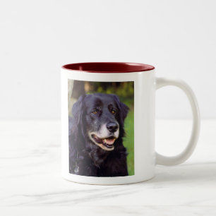 koffie-Mok Tweekleurige Koffiemok