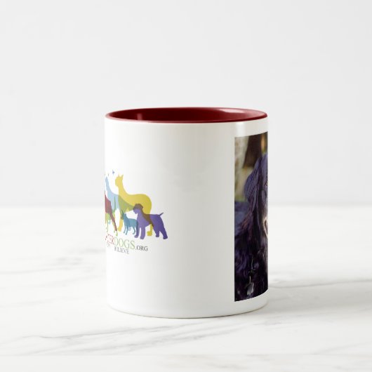 koffie-Mok Tweekleurige Koffiemok (Center)