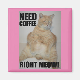 KOFFIE NODIG NU! Manx Kat Zit Grappig Magneet
