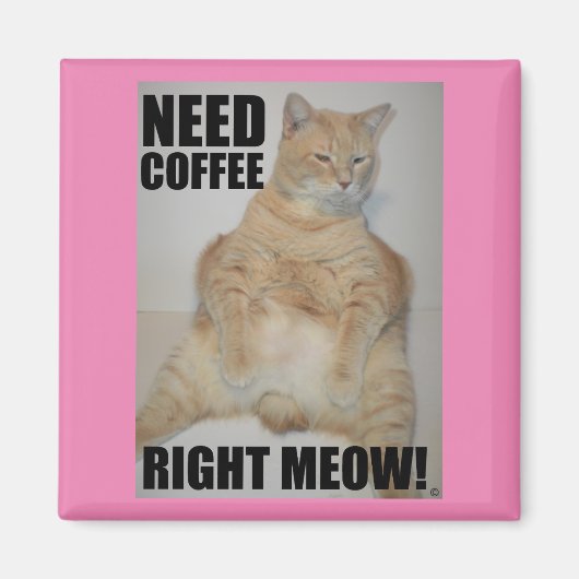 KOFFIE NODIG NU! Manx Kat Zit Grappig Magneet (Voorkant)