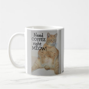 Koffie Nodig, Nu! Vette Manx Kat Zit Grappig Koffiemok