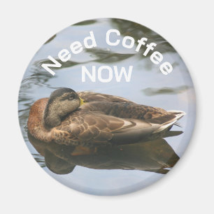 Koffie Nodig Slaperige Eend Grappig Magneet
