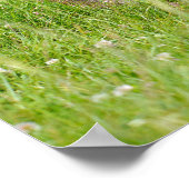 Koffie op briefkaart T-Shirt Coffee M Poster (Hoek)