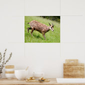 Koffie op briefkaart T-Shirt Coffee M Poster (Keuken)