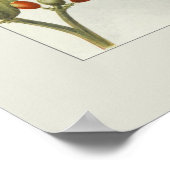 Koffie Poster (Hoek)