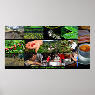 Koffie-poster Poster
