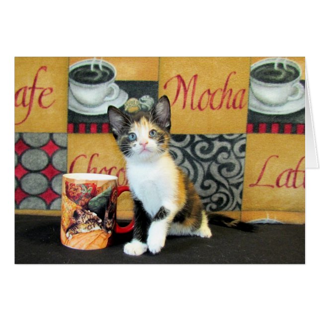 Koffie, thee of Meow - Leilani (Voorkant Horizontaal)