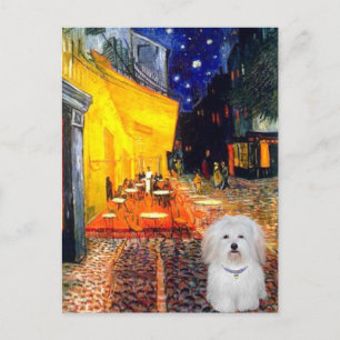 Koffie - Tulear 4b-katoen Briefkaart