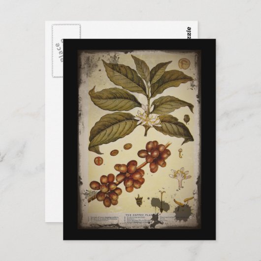 Koffie voor Afbeeldingen met retro Briefkaart (Voorkant / Achterkant)