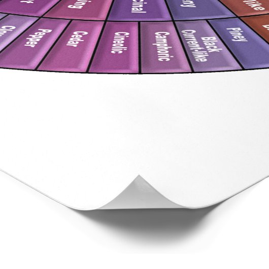 Koffiearoma Wheel Wall Art - Groot Poster (Hoek)