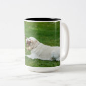 Koffiebekers, warme cacao tweekleurige koffiemok (Voorkant rechts)