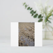 Koffiebonen Briefkaart (Staand voorkant)