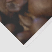 Koffiebonen keuken, 20x30 decoupage-achtergrond tissuepapier (Detail)