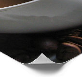Koffiebonen Poster (Hoek)