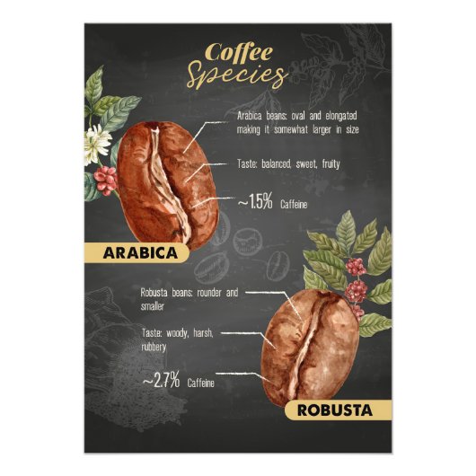 Koffiebonensoorten Foto Afdruk (Voorkant)
