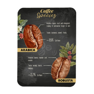 Koffiebonensoorten Magneet