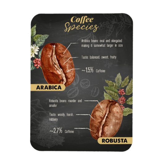 Koffiebonensoorten Magneet (Verticaal)