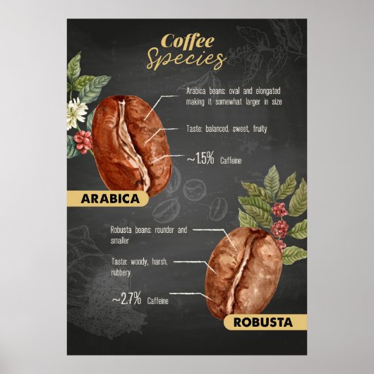 Koffiebonensoorten Poster (Voorkant)