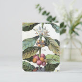  koffieboon artwork briefkaart (Staand voorkant)