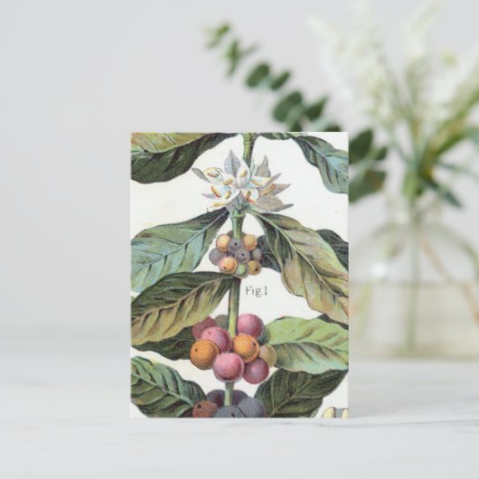  koffieboon artwork briefkaart (Staand voorkant)