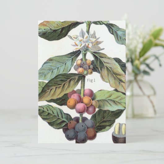  koffieboon artwork kaart (Staand voorkant)