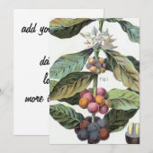 koffieboon artwork kaart (Voorkant / Achterkant)