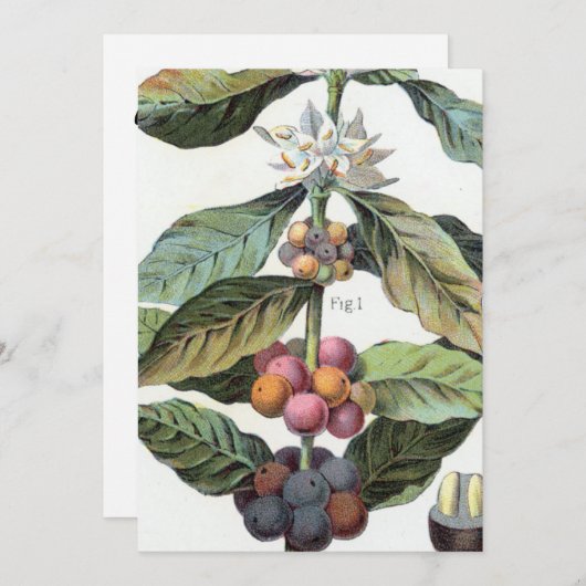 koffieboon artwork kaart (Voorkant / Achterkant)