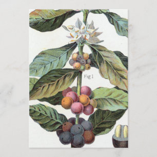 koffieboon artwork kaart