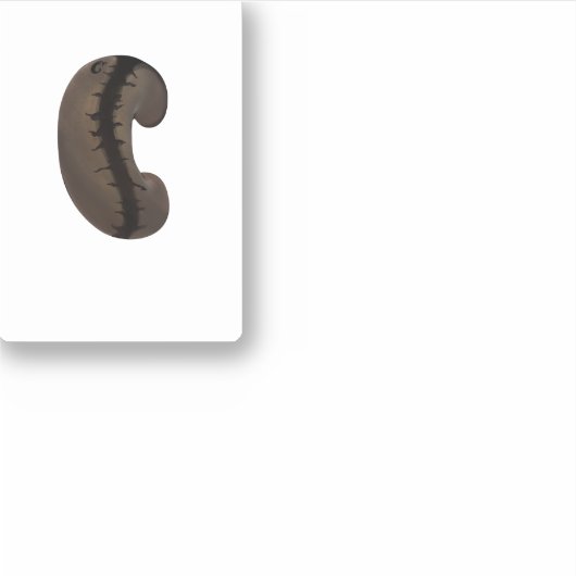 Koffieboon Sticker (Voorkant)