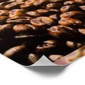 KOFFIEBOONKUNSTPOSTER POSTER (Hoek)