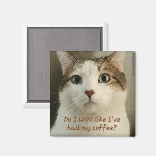 Koffiekast Magnet #2 - Shuri (Voorkant / Achterkant)