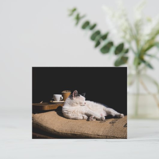 Koffiekat Briefkaart (Staand voorkant)