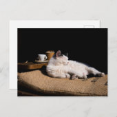 Koffiekat Briefkaart (Voorkant / Achterkant)