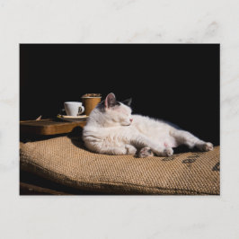 Koffiekat Briefkaart