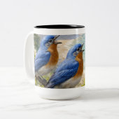 Koffiekop Tweekleurige Koffiemok (Voorkant links)
