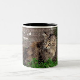 Koffiekop Verwilderde Huiskat Tweekleurige Koffiemok