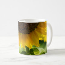 Koffiekop - Zonnebloem in bloei fotografie