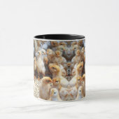 Koffiekuikens voor Mok (Midden)