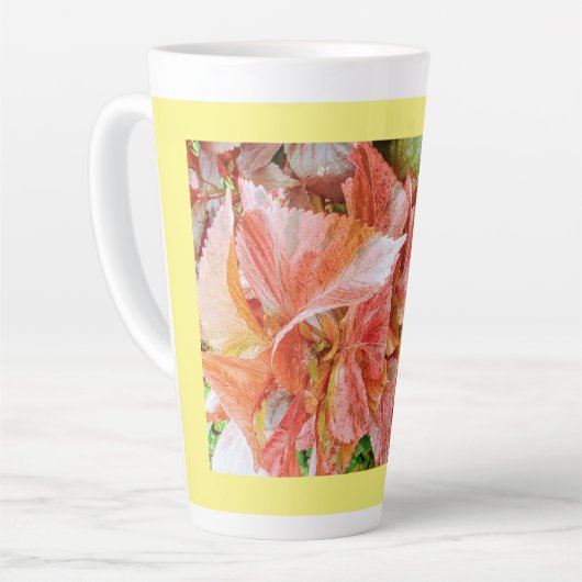 Koffielatte mok (Linkerhoek)