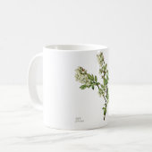 Koffiemok met blauwebes bloesem (Voorkant links)