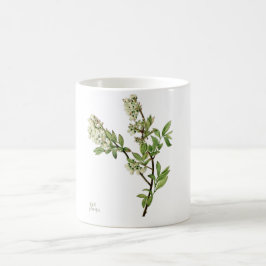 Koffiemok met blauwebes bloesem